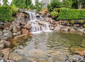 Water Feature Restoration